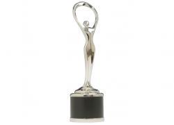 Communicator Awards, Award of Distinction, Websites